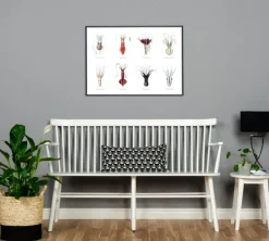 Squids Poster (21x29.7 cm (A4))