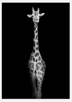 Stunning Giraffe Canvastavla (30x40 cm)