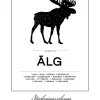 Styckningsschema Älg Poster (21x29.7 cm (A4))