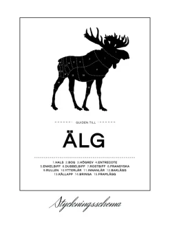 Styckningsschema Älg Poster (21x29.7 cm (A4))