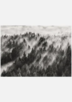 Sundance No.1 Canvastavla (30x40 cm)