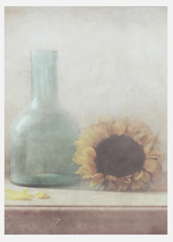 Sunflower Canvastavla (30x40 cm)