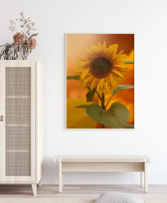 Sunflower Poster (21x29.7 cm (A4))