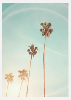 Sunny Cali Palm Tree Canvastavla (30x40 cm)