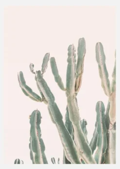 Sunrise Cactus Canvastavla (30x40 cm)