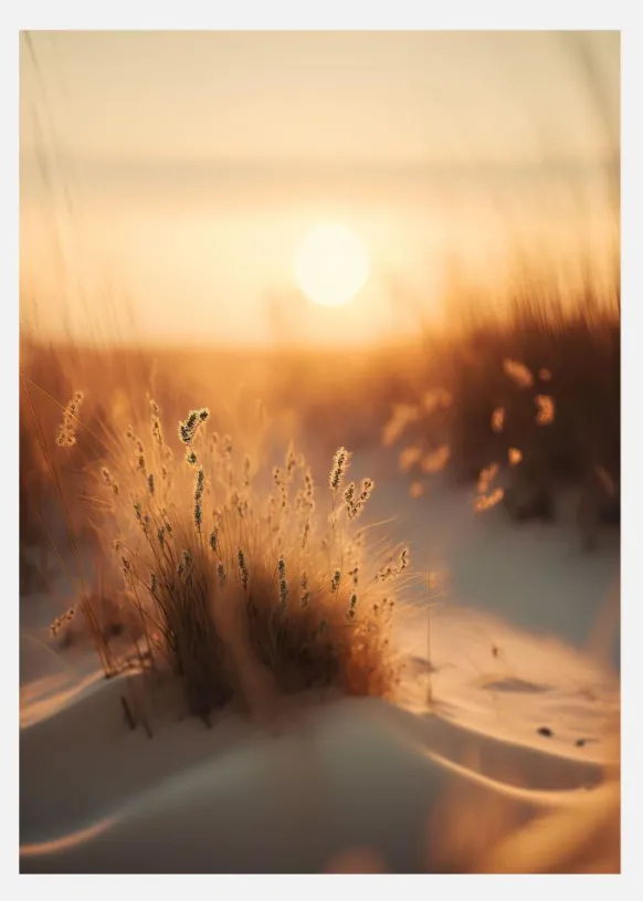 Sunset At The Beach Canvastavla (30x40 cm)
