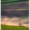 Sunset In Palouse Canvastavla (30x40 cm)