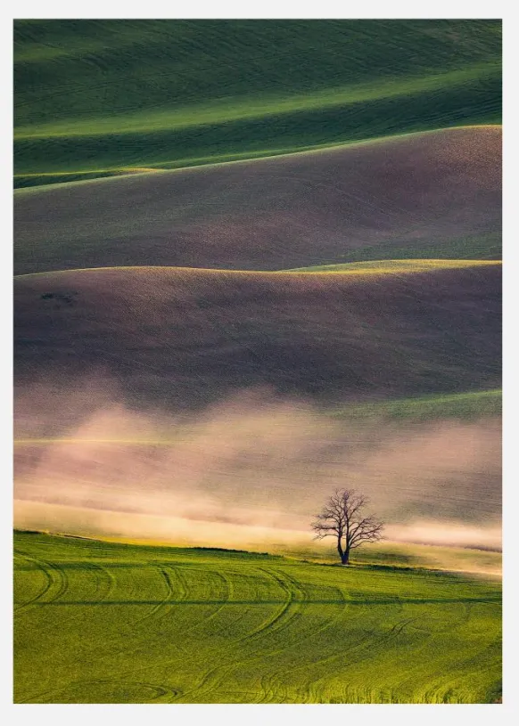 Sunset In Palouse Canvastavla (30x40 cm)