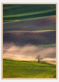Sunset in Palouse Poster (21x29.7 cm (A4))