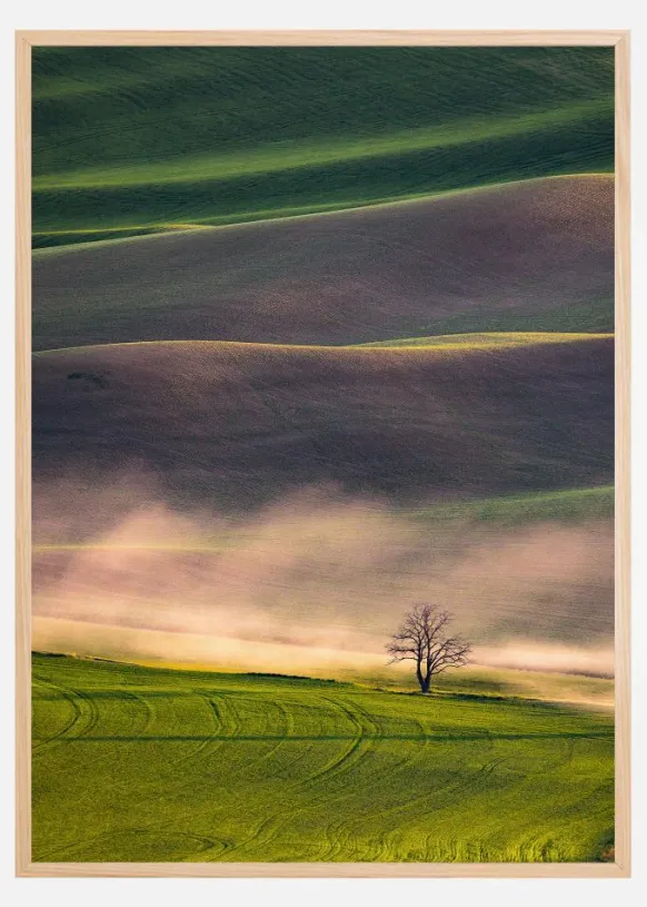 Sunset in Palouse Poster (21x29.7 cm (A4))