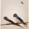 Swallows Poster (21x29.7 cm (A4))