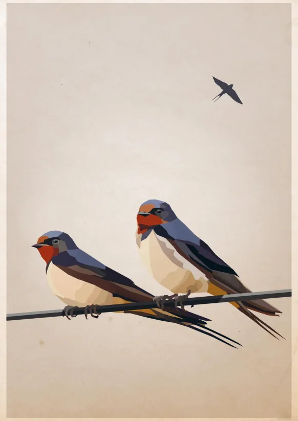 Swallows Poster (21x29.7 cm (A4))