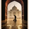 Taj mahal cleaner Poster (21x29.7 cm (A4))
