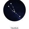 Taurus Poster (21x29.7 cm (A4))