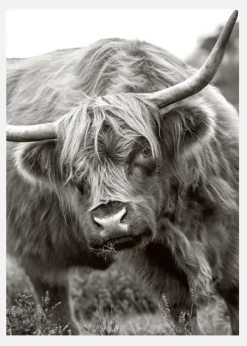 The Bull Canvastavla (30x40 cm)