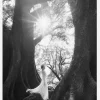 The Daughter Of Trees Canvastavla (30x40 cm)