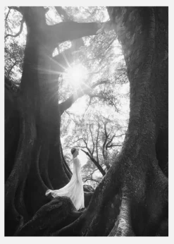 The Daughter Of Trees Canvastavla (30x40 cm)