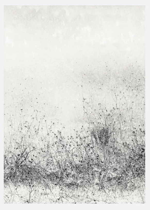 The Endless Grassfields Canvastavla (30x40 cm)