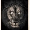 The king Poster (21x29.7 cm (A4))