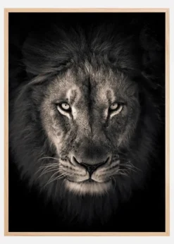 The king Poster (21x29.7 cm (A4))