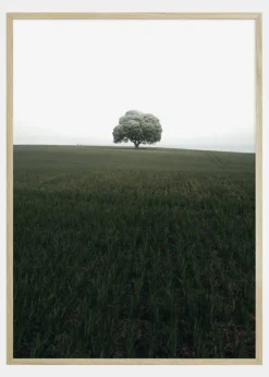 The lonely oak tree Poster (21x29.7 cm (A4))