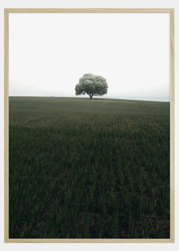 The lonely oak tree Poster (21x29.7 cm (A4))