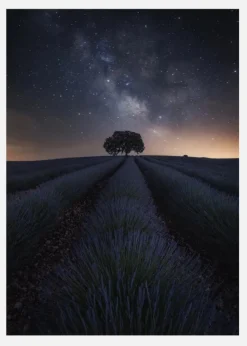 The Lonely Tree Canvastavla (30x40 cm)