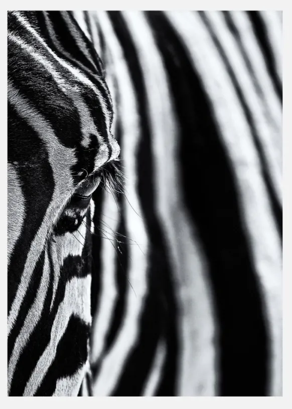 The Look Of Nature Canvastavla (30x40 cm)