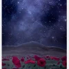 The Poppyfield Canvastavla (30x40 cm)