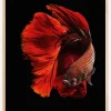 The Red Poster (21x29.7 cm (A4))