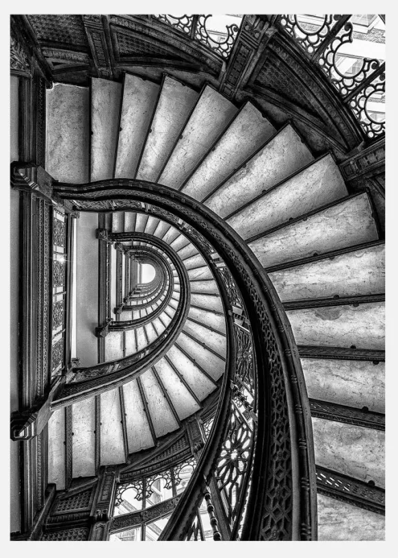The Rookery Canvastavla (30x40 cm)