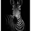 The Zebra Canvastavla (30x40 cm)