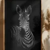 The Zebra Poster (21x29.7 cm (A4))