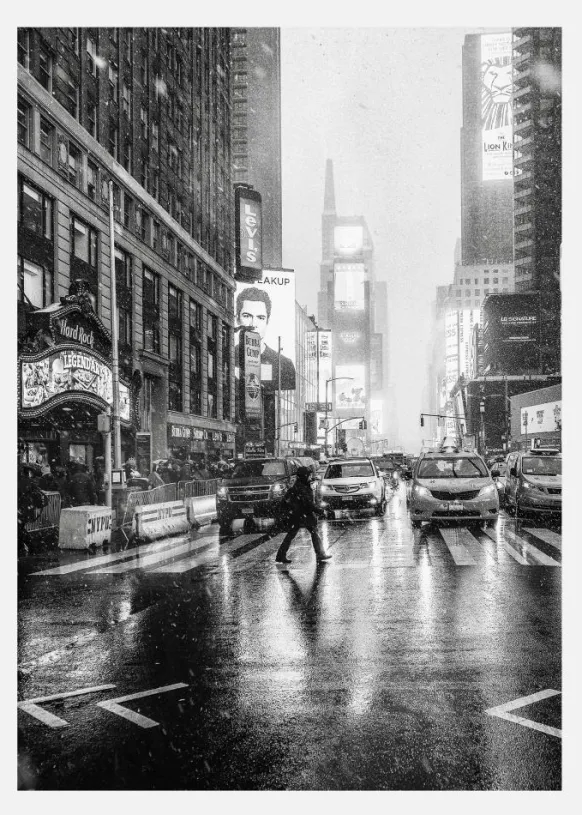 Times Square Canvastavla (30x40 cm)