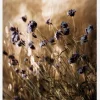 To Be Free In Light Canvastavla (30x40 cm)