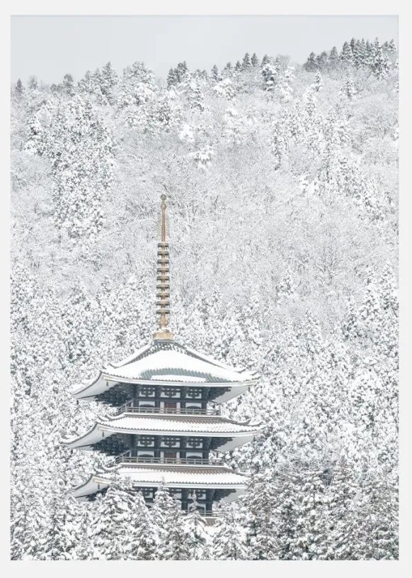 Tower Of Winter Canvastavla (30x40 cm)