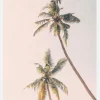 Tropical Palms Canvastavla (30x40 cm)