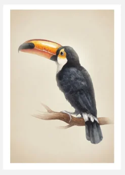 Tropical Toucan Canvastavla (30x40 cm)