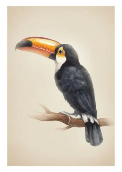 Tropical Toucan Poster (21x29.7 cm (A4))
