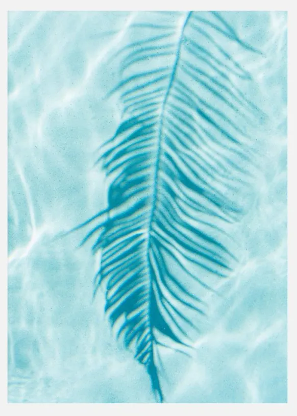 Turquoise Palm Leave Canvastavla (30x40 cm)