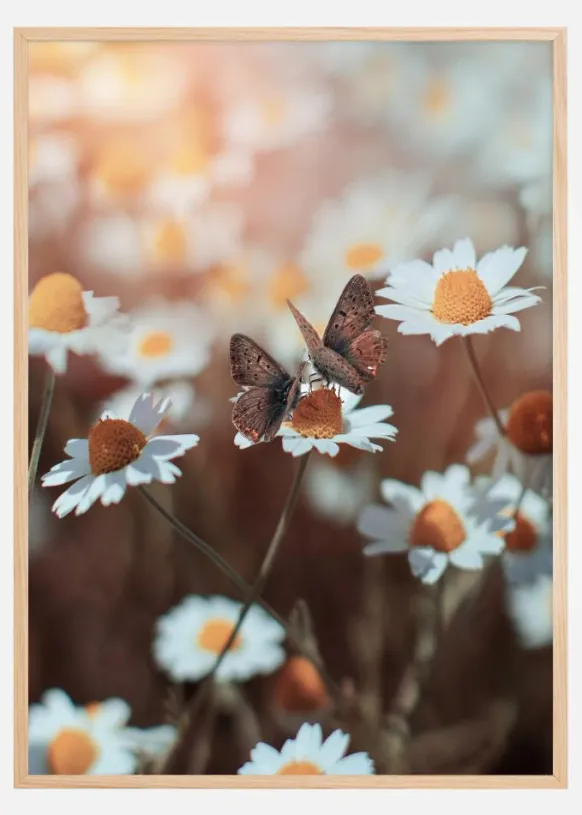 Two Butterflies Poster (21x29.7 cm (A4))