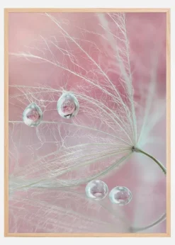 Two of us Poster (21x29.7 cm (A4))