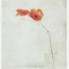 Two Poppies In A Bottle Canvastavla (30x40 cm)