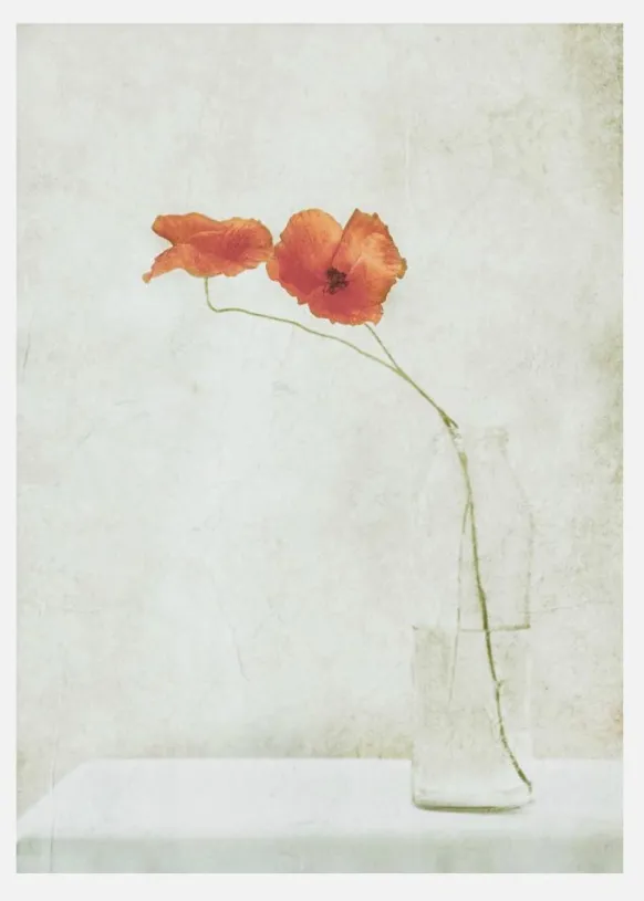 Two Poppies In A Bottle Canvastavla (30x40 cm)