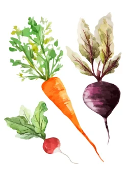 Veggies Poster (21x29.7 cm (A4))