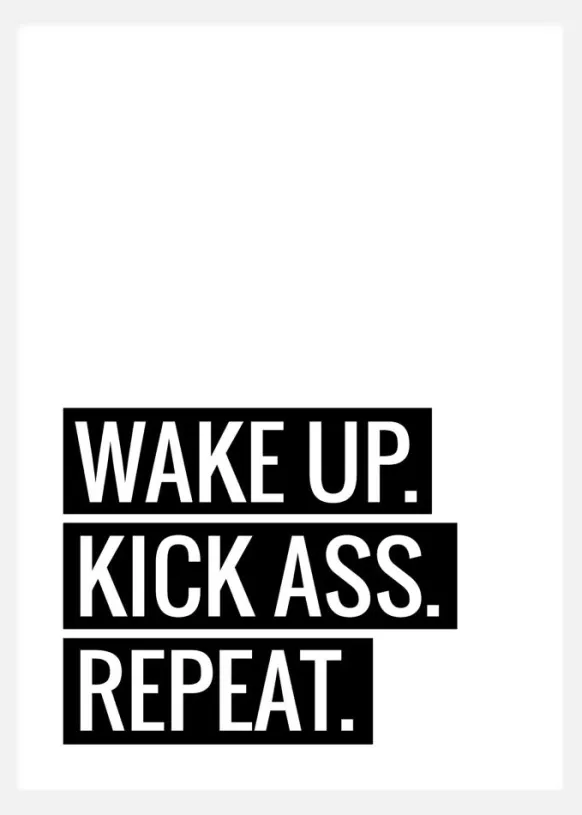 Wake Up Kick Ass Repeat IICanvastavla (30x40 cm)