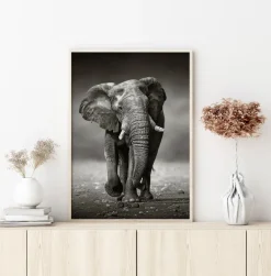 Walking Elephant Poster (21x29.7 cm (A4))