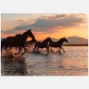 Water Horses Canvastavla (30x40 cm)