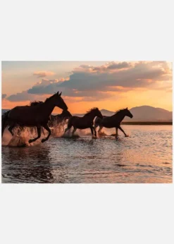 Water Horses Canvastavla (30x40 cm)