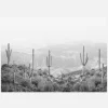 Western Cactus Canvastavla (30x40 cm)